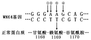 �߿���Դ��( www.ks5u.com)�������ߵĸ߿�ר�ҡ�