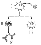 ߿Դ(ks5u.com),йĸ߿վ,ߵĸ߿רҡ