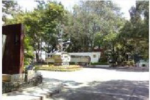 ������ѧ