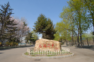 �����еڶ���ѧ