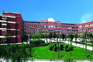 ����һ��